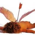 cupid dead