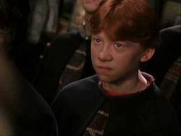 ginger