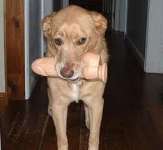 dildos 4