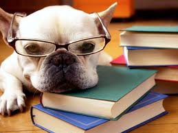 what to read 2